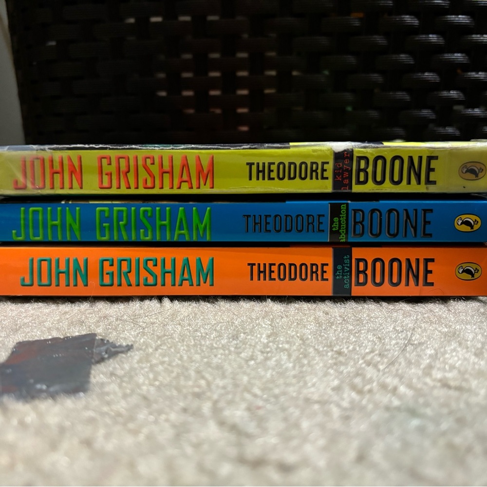 Theodore Boone books